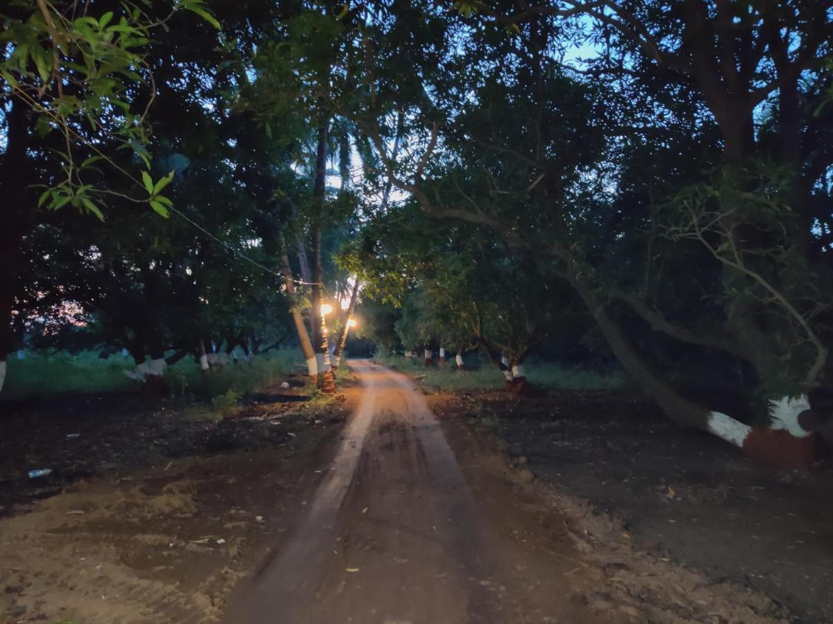Shiv Farm House Hotel Sasan Gir Ngoại thất bức ảnh